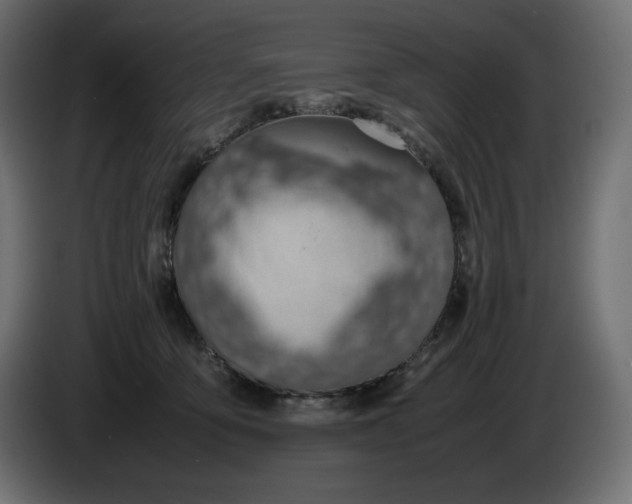 X0000086310419200704131636