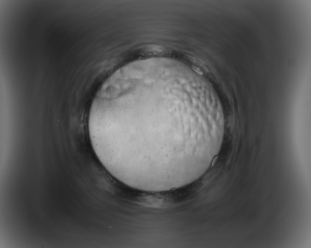 X0000086310423200704131636