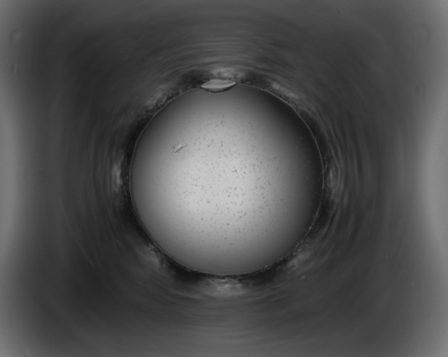 X0000086310424200704131636
