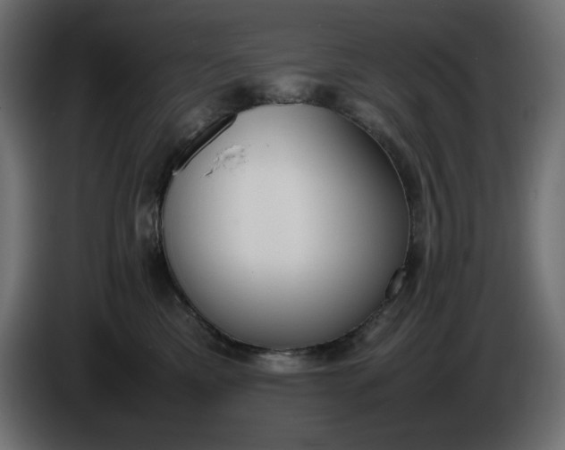 X0000086310425200704131636
