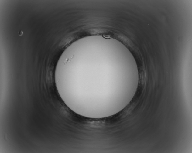 X0000086310426200704131636