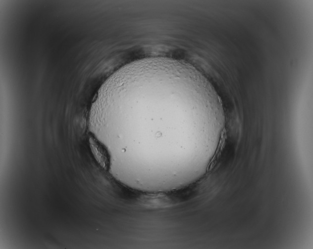 X0000086310427200704131635