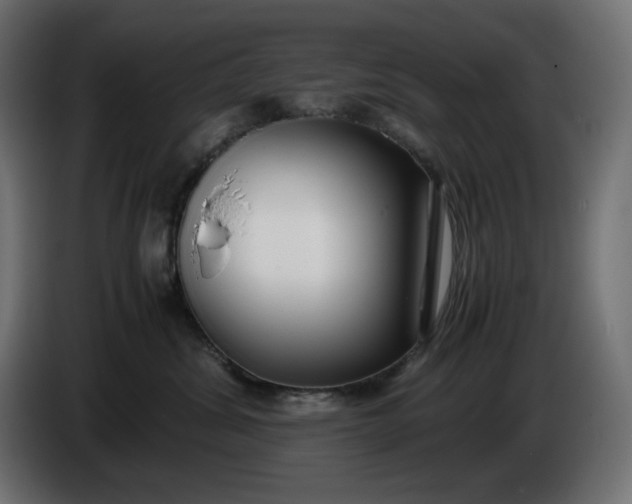 X0000086310428200704131635
