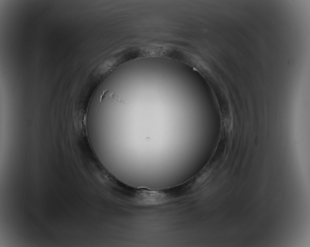 X0000086310429200704131635