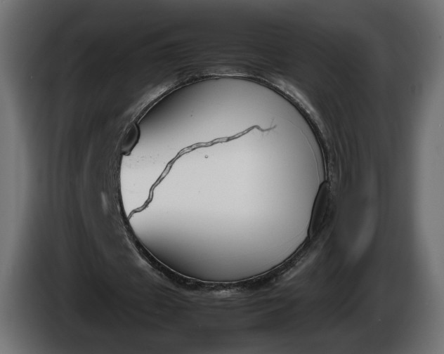 X0000086310433200704131635