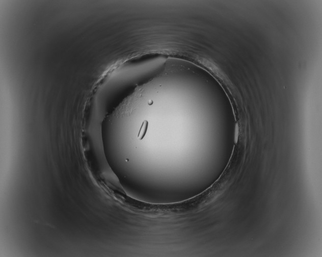 X0000086310434200704131635