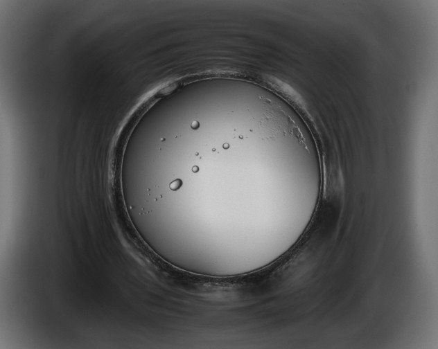 X0000086310435200704131635