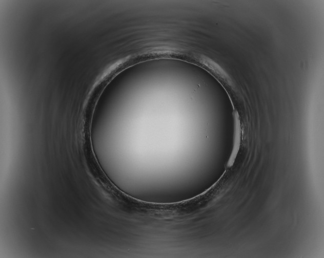 X0000086310436200704131635