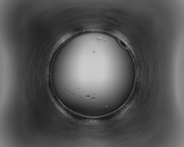 X0000086310437200704131635