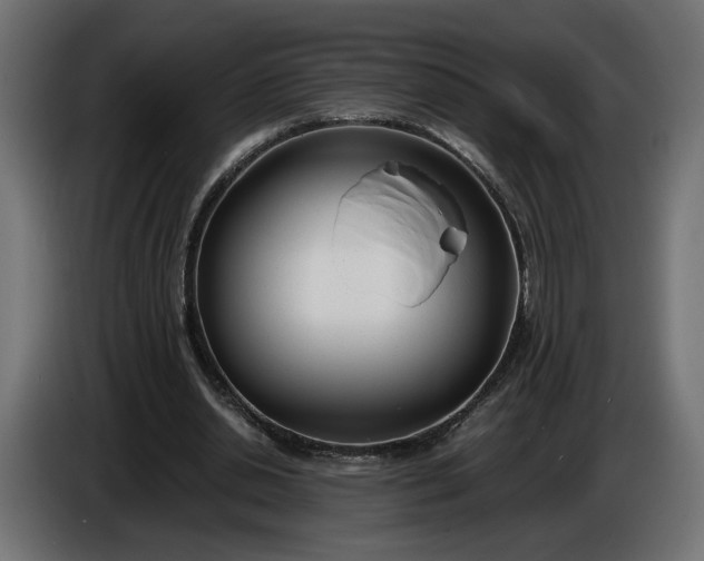 X0000086310438200704131635