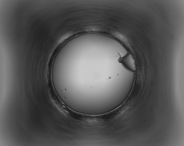X0000086310439200704131635