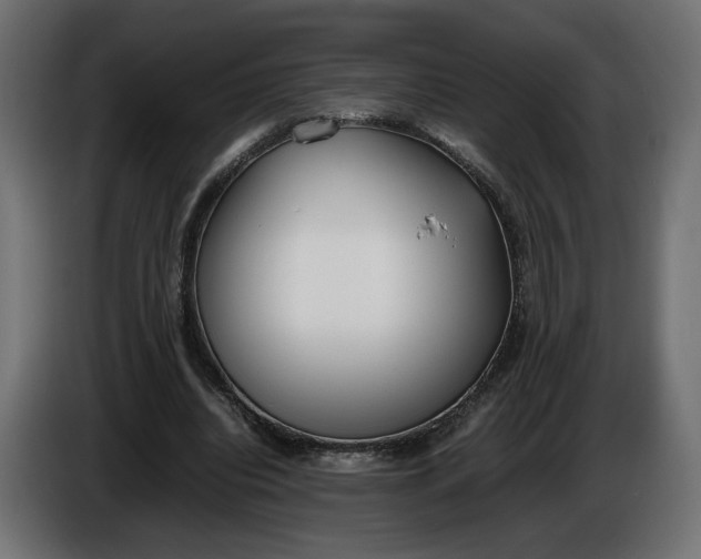 X0000086310440200704131635