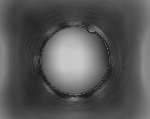 X0000086310441200704131635