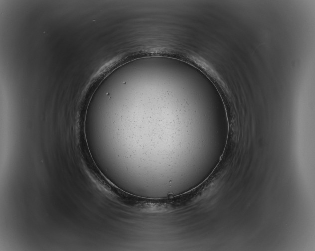 X0000086310442200704131635