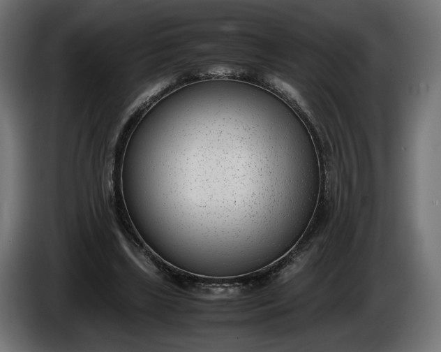 X0000086310443200704131635