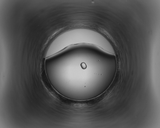 X0000086310444200704131635
