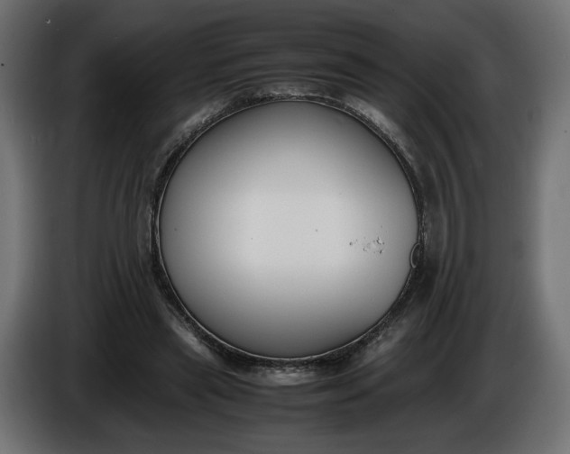 X0000086310445200704131635