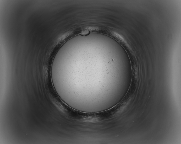 X0000086310447200704131635
