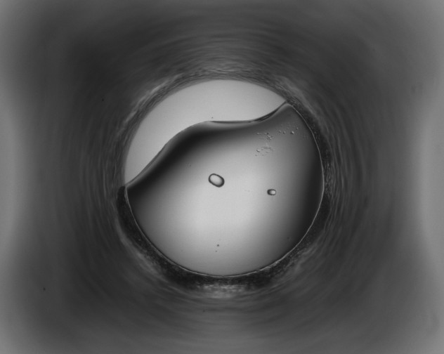 X0000086310448200704131635