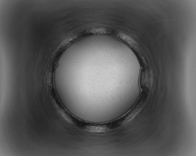 X0000086310449200704131635