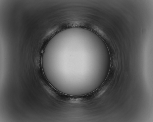 X0000086310450200704131635