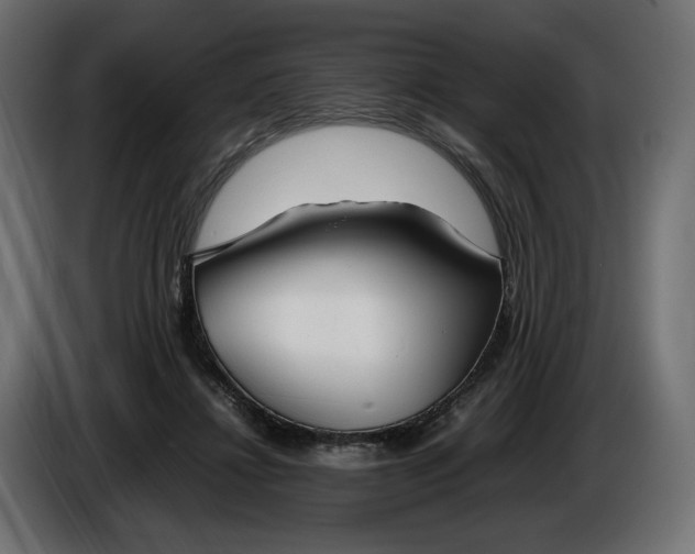 X0000086310452200704131635