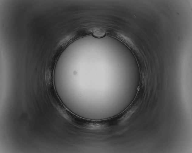 X0000086310453200704131635