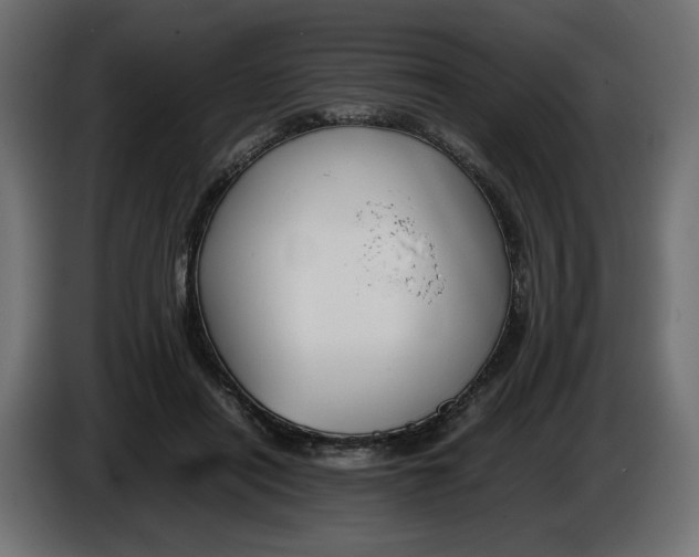 X0000086310454200704131635