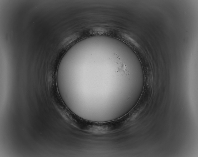 X0000086310455200704131635