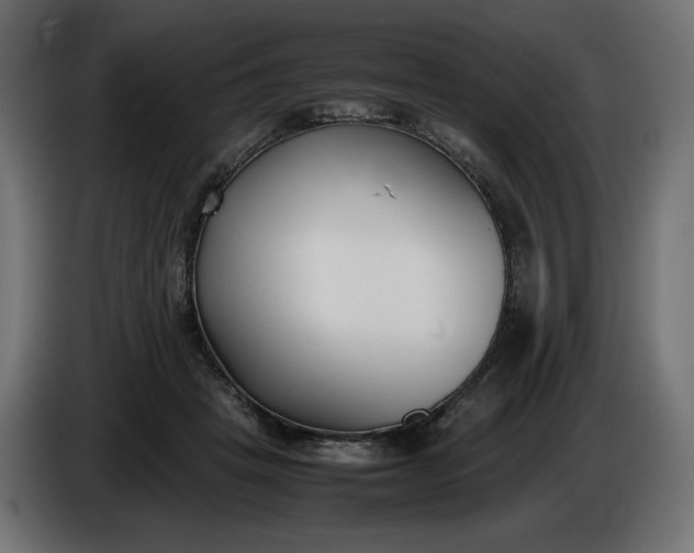 X0000086310457200704131635