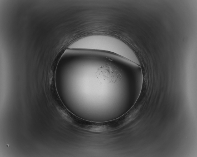 X0000086310458200704131635