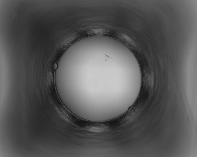 X0000086310459200704131635
