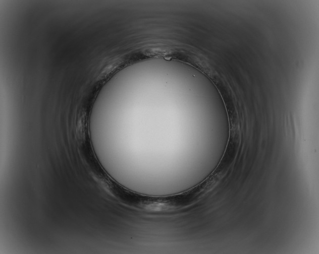 X0000086310460200704131635