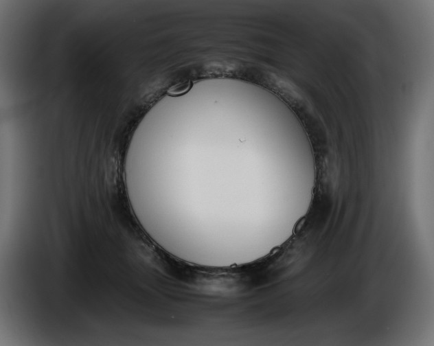 X0000086310463200704131635
