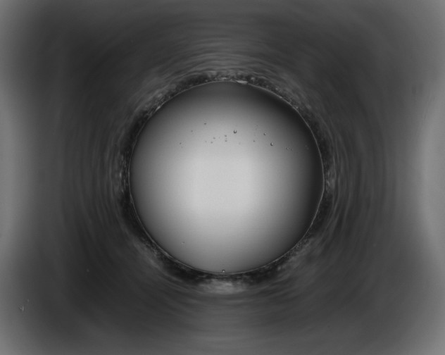X0000086310464200704131635