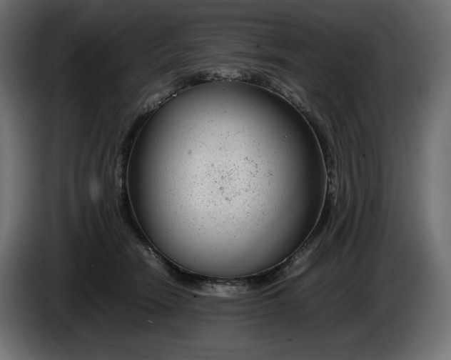 X0000086310466200704131635