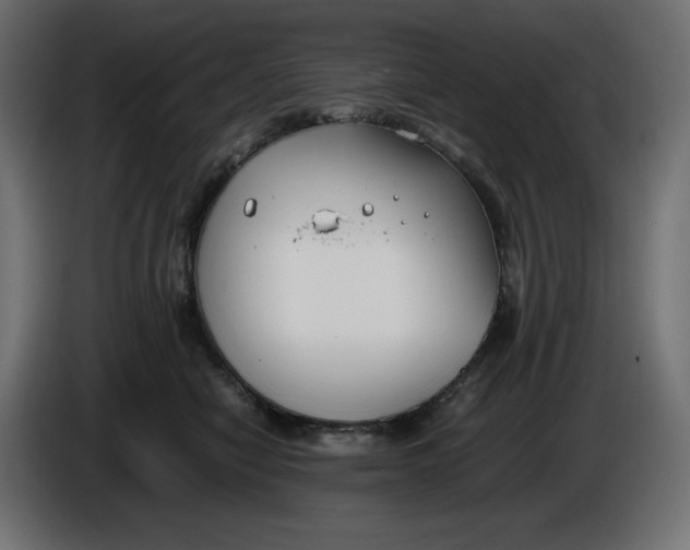 X0000086310470200704131635
