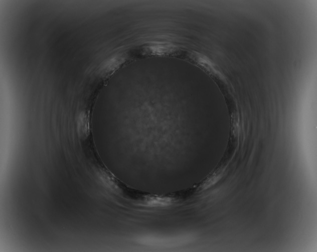 X0000086310471200704131635