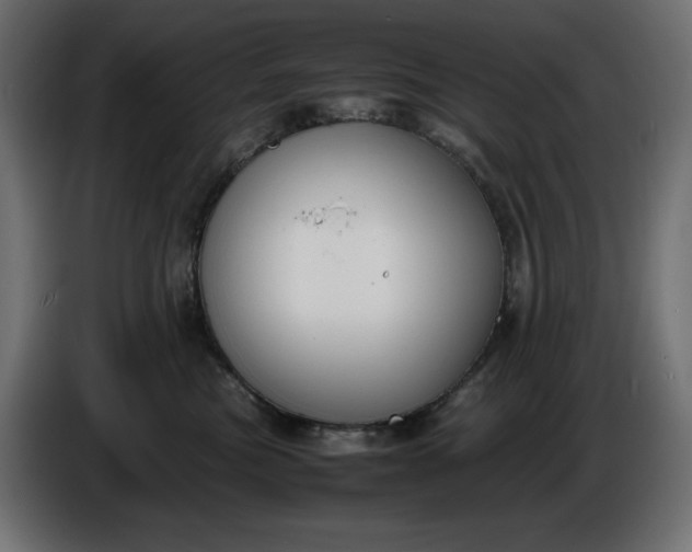 X0000086310473200704131635