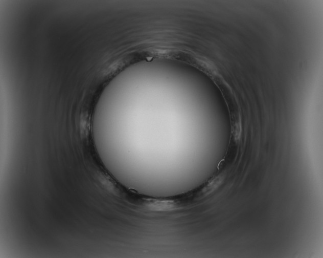 X0000086310476200704131635