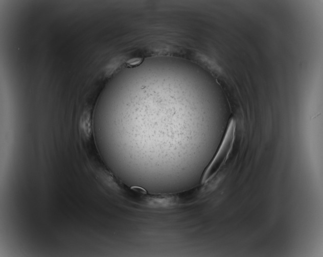 X0000086310479200704131635