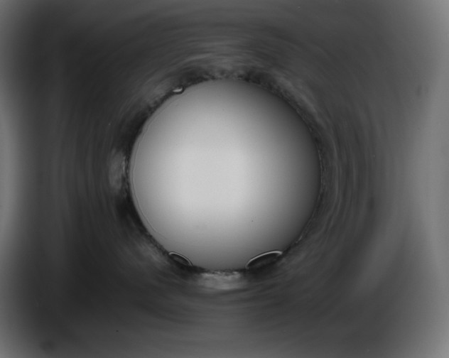 X0000086310480200704131635