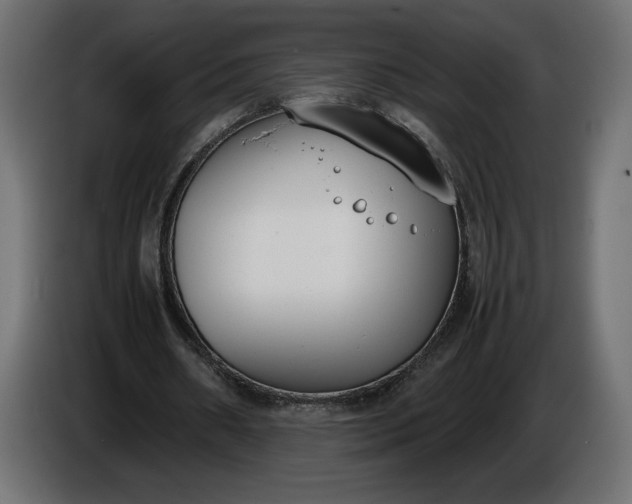 X0000086310482200704131635