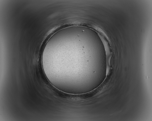 X0000086310483200704131635