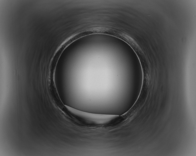 X0000086310484200704131635