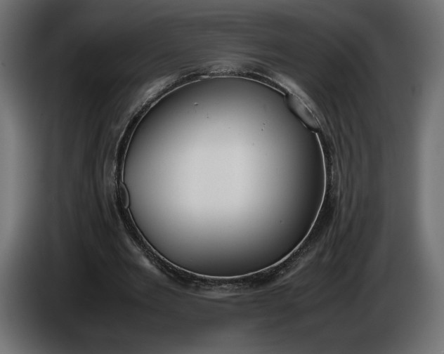 X0000086310485200704131635