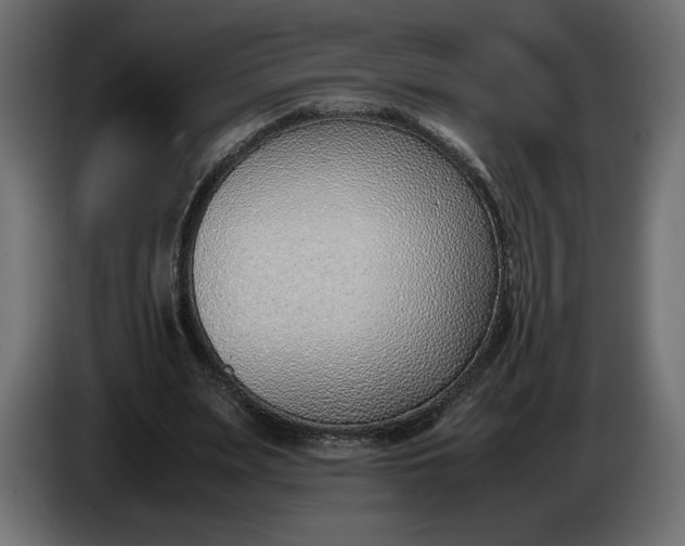 X0000086310487200704131635