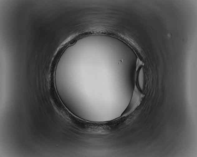 X0000086310488200704131635
