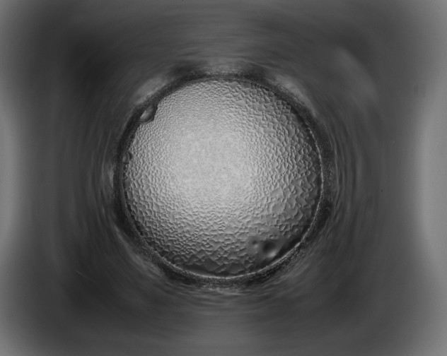 X0000086310491200704131635