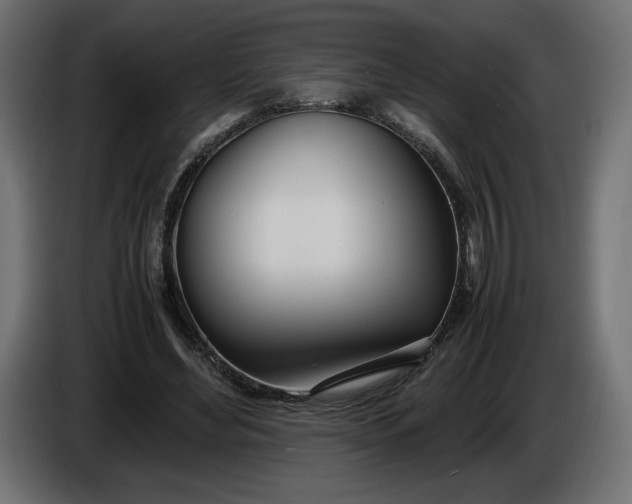X0000086310492200704131635